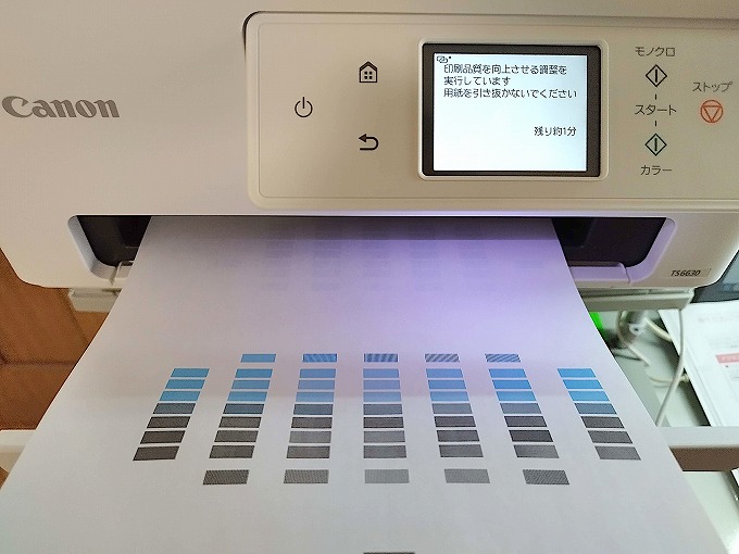 パターンが印刷されて出てきました